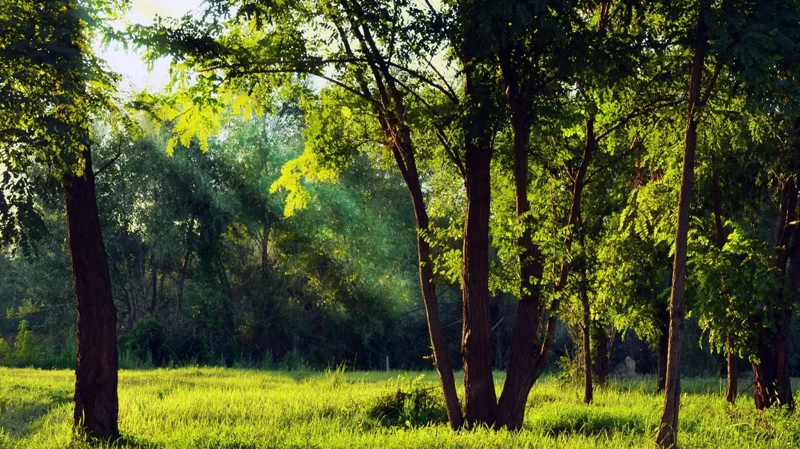 Why Biological Products Are the Future of Environmental Cleaning